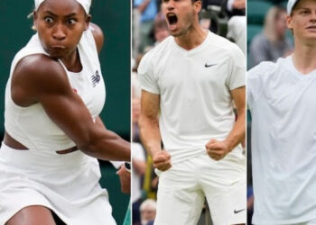Taylor Fritz, Coco Gauff, and Carlos Alcaraz were among the top seven prize money winners in the 2024 tennis season.