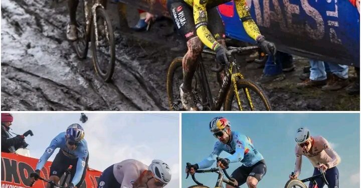 Van der Poel onverslaanbaar in Liévin? Sven Nys gelooft dat de kloof met Van Aert niet zo groot is