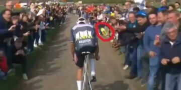 Advocaat bidongooier dekt cliënt in: “Wat Van der Poel zegt klopt niet” Volgens zijn advocaat, Peter Desmet, is de man in kwestie, W.D., vervuld van spijt. “Mijn cliënt W.D. zit sinds zondag in diepe wanhoop. Hij is een fatsoenlijke man die net getrouwd is, een baan heeft, een huis heeft gekocht en aan zijn toekomst wil bouwen.”