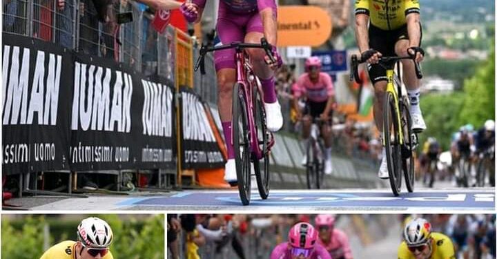 Van Aert net misgelopen: Pedersen pakt vierde etappezege na spannende sprint op lastige finish Details in de reacties hieronder 👇