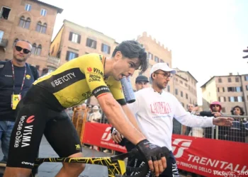 “Wout is op het punt gekomen waarop hij voelt dat hij weer op de rails zit.”